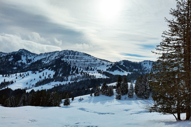 Die scheinbare Ruhe der Nagelfluhkette am Imberg und doch ein Ort verborgener alpiner Wildheit.