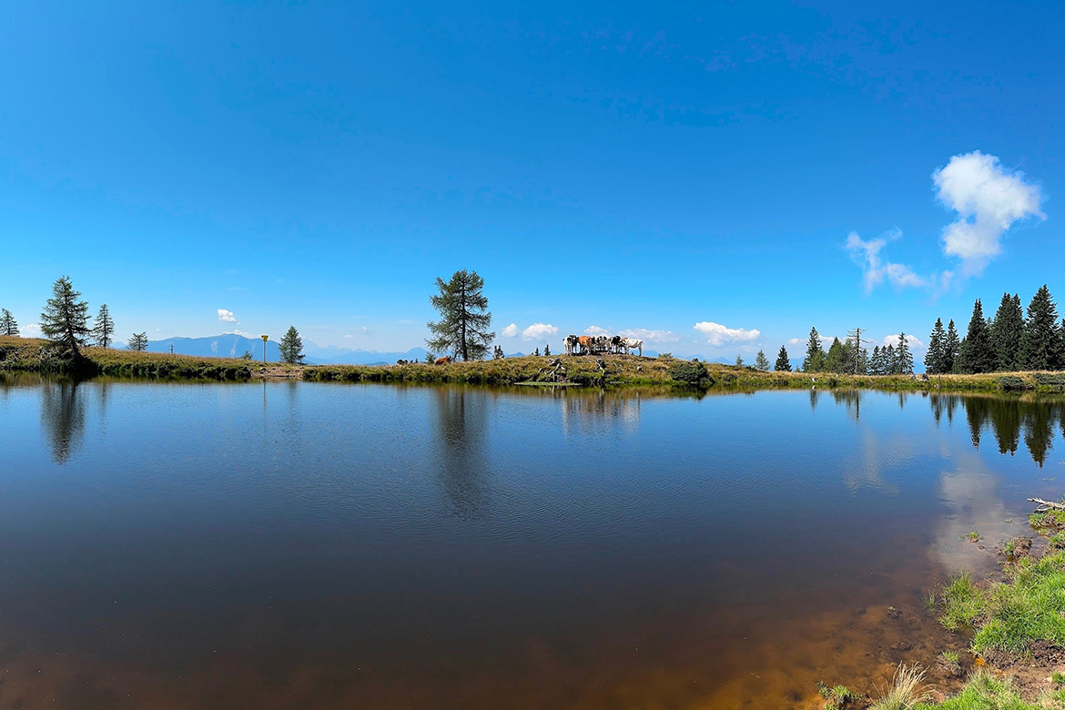 Spiegelbild der Stille: Schwarzer See in Verditz Gehen, Denken, Reden und Entspannen: Ein Urlaubsfoto von Elmar Schlappack: Idyllisch Blick auf den Schwarzen See.