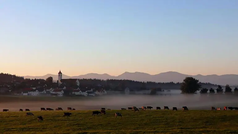 Morgenlandschaft um den Gabrielshof.