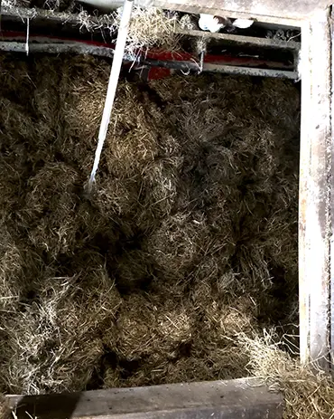 Blick in den Futtermischwagen: Präzise Mischung der Futterkomponenten Blick durch die Luke in den Futtermischwagen, Wasser wird hinzugefügt.